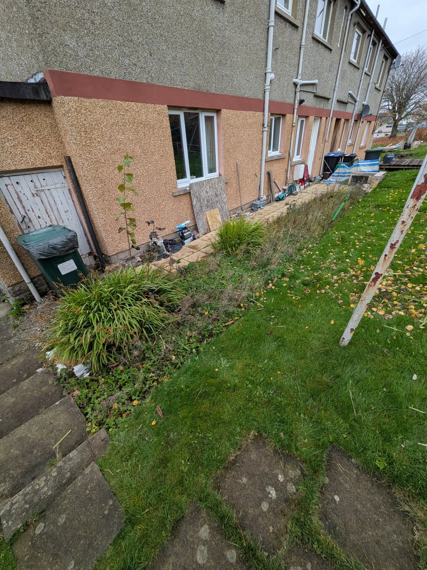 Weedy border along the back of a house, before