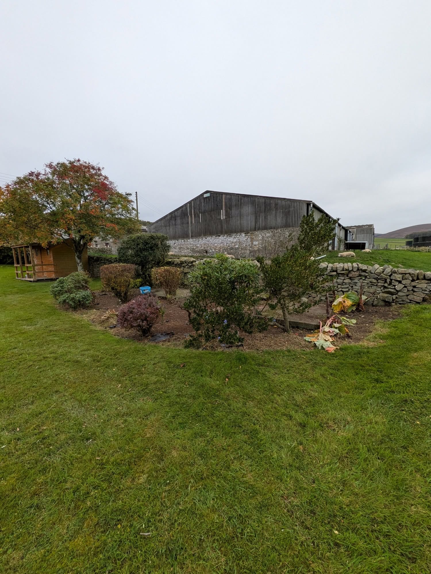 The same shrub border pruned back, after